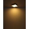 Illuminazione Globo Lighting Doha Plafoniera LED Antracite, Bianco, 1-Luce