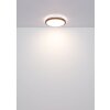 Illuminazione Globo Lighting Bruno Plafoniera LED Marrone, Nero, 1-Luce