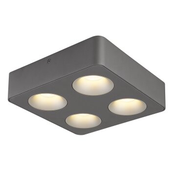 Illuminazione Globo Lighting Hangarau Plafoniera LED Grigio, 1-Luce