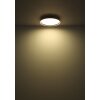 Illuminazione Globo Lighting Dublin Plafoniera LED Grigio, 1-Luce, Telecomando