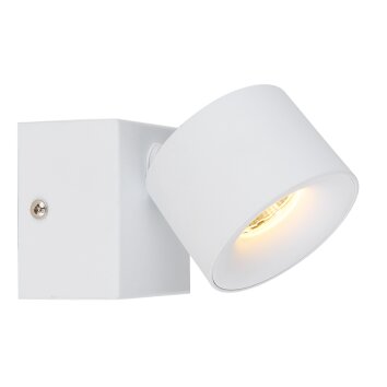 Illuminazione Globo Lighting Rae Plafoniera LED Bianco, 1-Luce