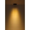 Illuminazione Globo Lighting Rae Plafoniera LED Nero, 2-Luci