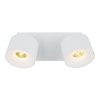 Illuminazione Globo Lighting Rae Plafoniera LED Bianco, 2-Luci