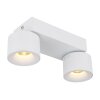 Illuminazione Globo Lighting Rae Plafoniera LED Bianco, 2-Luci