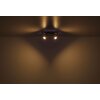 Illuminazione Globo Lighting Verpax Plafoniera, Faretto da soffitto, Applique, Faretto da parete Nichel opaco, 2-Luci