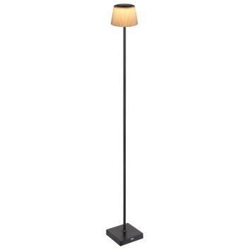 Illuminazione Globo Lighting Gregoir Lampada da terra LED Nero, 1-Luce