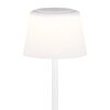 Illuminazione Globo Lighting Gregoir Lampada da terra LED Bianco, 1-Luce