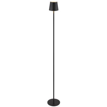 Illuminazione Globo Lighting Vannie Lampada da terra LED Nero, 1-Luce