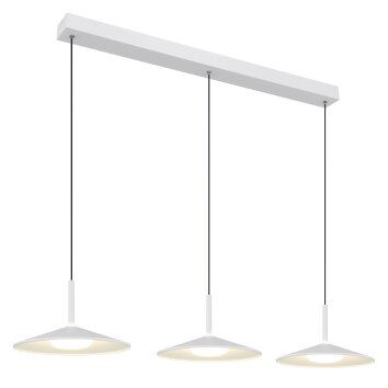 Illuminazione Globo Lighting Lampone Lampadario a sospensione LED Bianco, 1-Luce