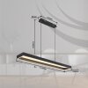 Illuminazione Globo Lighting Sola Lampadario a sospensione LED Nero, 1-Luce, Telecomando