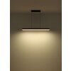 Illuminazione Globo Lighting Sola Lampadario a sospensione LED Nero, 1-Luce, Telecomando