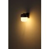 Illuminazione Globo Lighting Cristallica Lampadario a sospensione LED Antracite, 1-Luce