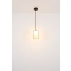 Illuminazione Globo Lighting Lampigna Lampadario a sospensione LED Ottone, Nero, 1-Luce