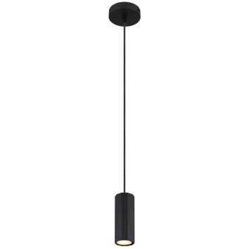 Illuminazione Globo Lighting James Lampadario a sospensione Nero, 1-Luce