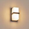 Antua Lampada da parete per esterno, Lampade Up & Down Antracite, 1-Luce