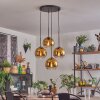 Koyoto Lampadario a sospensione, Lampada a sfera Oro, Chiaro, 4-Luci