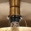 Illuminazione Steinhauer Brass Applique Ottone, 1-Luce