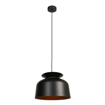 Illuminazione Steinhauer Skandina Lampada a sospensione Oro, Nero, 1-Luce