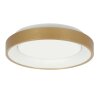 Illuminazione Steinhauer Ringlede Plafoniera LED Oro, 1-Luce