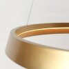 Illuminazione Steinhauer Ringlux Lampada a sospensione LED Oro, 1-Luce