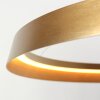 Illuminazione Steinhauer Ringlux Lampada a sospensione LED Oro, 1-Luce