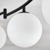 Gastor Plafoniera, Lampada a sfera Bianco, 6-Luci