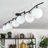 Gastor Plafoniera, Lampada a sfera Bianco, 6-Luci