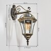 Lavajo Illuminazione esterna, Lampada da parete per esterno Oro, Nero, 1-Luce