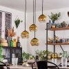 Koyoto Lampadario a sospensione, Lampada a sfera, Lampada a sospensione 35 cm Oro, Chiaro, 4-Luci