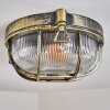 Godel Plafoniera da esterno, Plafoniera Oro, Nero, 1-Luce