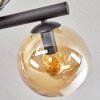 Gastor Plafoniera, Lampada a sfera Ambrato, Grigio fumo, 10-Luci