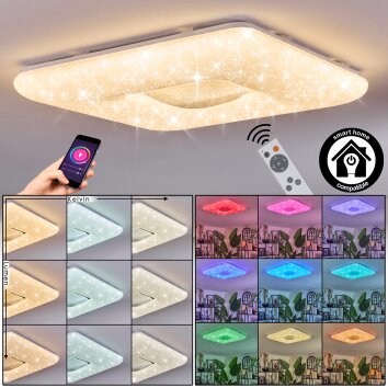 Flavlev Plafoniera LED Argento, Bianco, 1-Luce, Telecomando