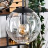 Gastor Lampadario a sospensione, Lampada a sfera, Lampada a sospensione Ambrato, Chiaro, Grigio fumo, 5-Luci