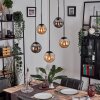 Gastor Lampadario a sospensione, Lampada a sfera, Lampada a sospensione Ambrato, Grigio fumo, 5-Luci