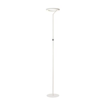 Illuminazione Lucide CELESTE Lampada da terra LED Bianco, 1-Luce