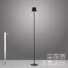 Illuminazione Leuchten Direkt EURIA Lampada da terra LED Nero, 1-Luce