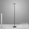 Illuminazione Leuchten Direkt AMAG Lampada da terra LED Nero, 1-Luce