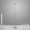 Illuminazione Leuchten Direkt AMAG Lampada da terra LED Verde, 1-Luce