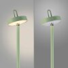 Illuminazione Leuchten Direkt AMAG Lampada da terra LED Verde, 1-Luce