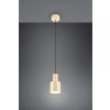 Illuminazione Trio Leuchten Agudo Lampada a sospensione Beige, 1-Luce