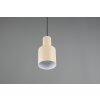 Illuminazione Trio Leuchten Agudo Lampada a sospensione Beige, 1-Luce