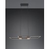 Illuminazione Trio Leuchten ALBANY Lampada a sospensione LED Nero, 1-Luce, Telecomando