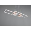 Illuminazione Trio Leuchten ALBANY Lampada a sospensione LED Marrone, 1-Luce, Telecomando