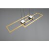 Illuminazione Trio Leuchten ALBANY Lampada a sospensione LED Nero-Oro, 1-Luce, Telecomando