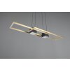 Illuminazione Trio Leuchten ALBANY Lampada a sospensione LED Nero-Oro, 1-Luce, Telecomando