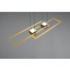 Illuminazione Trio Leuchten ALBANY Lampada a sospensione LED Nero-Oro, 1-Luce, Telecomando