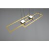 Illuminazione Trio Leuchten ALBANY Lampada a sospensione LED Nero-Oro, 1-Luce, Telecomando