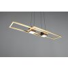 Illuminazione Trio Leuchten ALBANY Lampada a sospensione LED Nero-Oro, 1-Luce, Telecomando