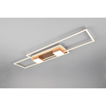 Illuminazione Trio Leuchten ALBANY Plafoniera LED Marrone, 1-Luce, Telecomando