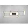 Illuminazione Trio Leuchten ALBANY Plafoniera LED Nero-Oro, 1-Luce, Telecomando